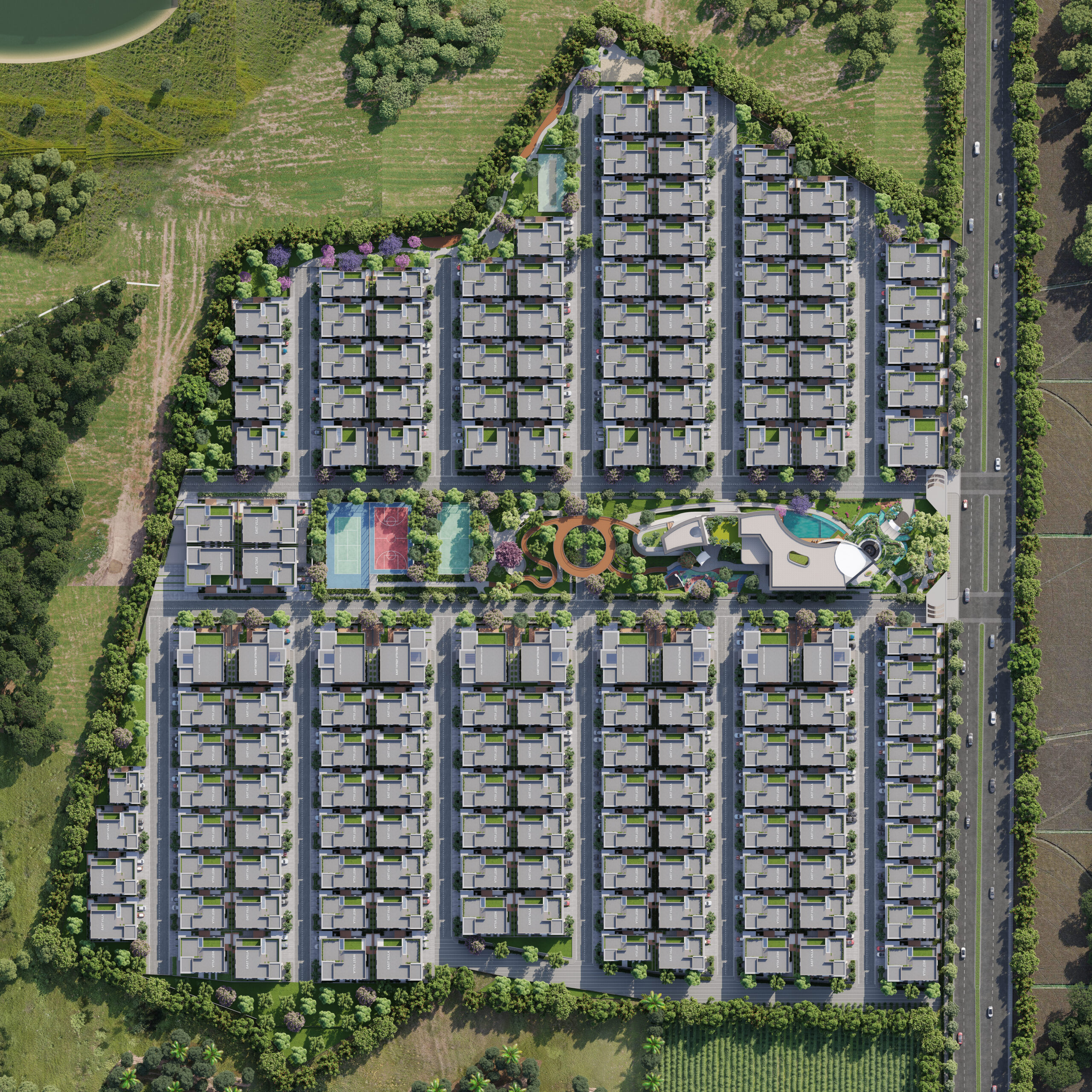 Top_View_FFFFFF copy